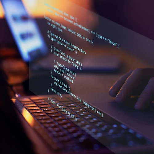 Custom Programming Solutions